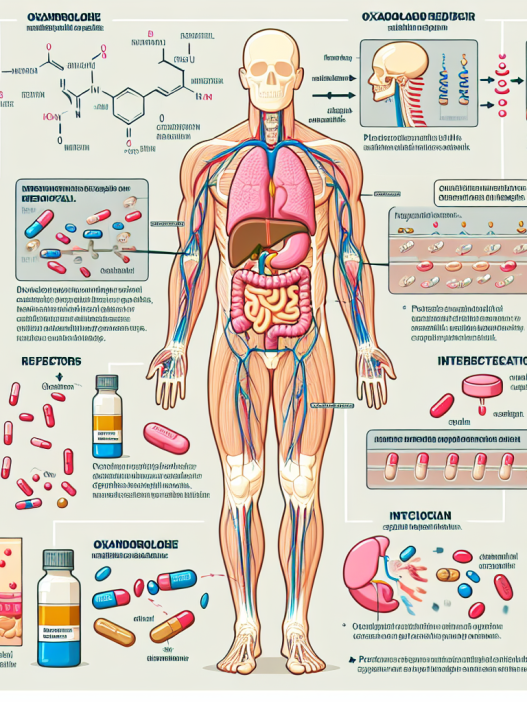 How oxandrolone works in the human body