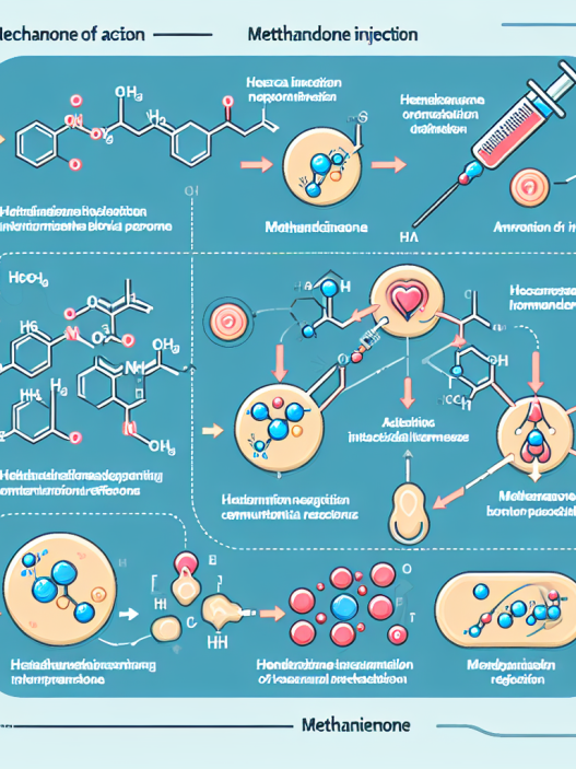 Methandienone injection: mechanism of action explained